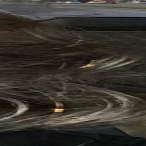 Meet your Posher, Robin